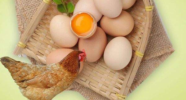早上吃雞蛋的么好處